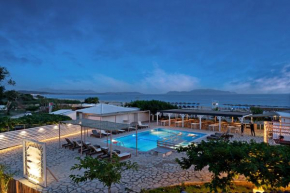 Iguana studio 8